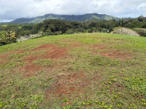 Tiny photo for Kapaa, HI 96746 (MLS # 728499)