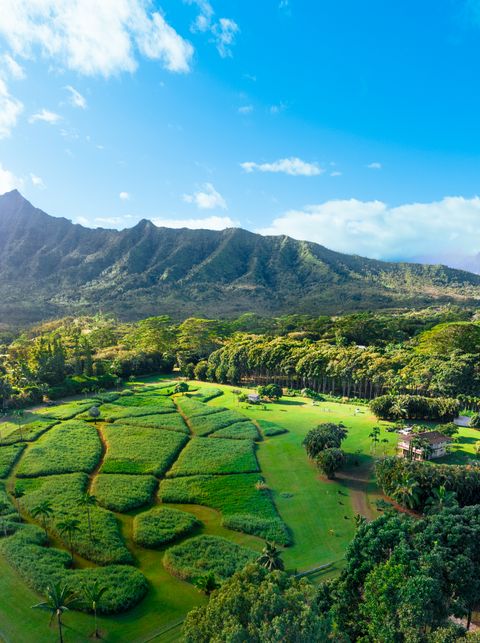 Tiny photo for 6001 Kahiliholo Rd, Kilauea, HI 96754 (MLS # 726091)