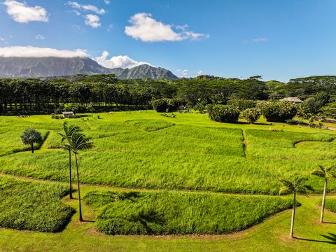 Tiny photo for 6001 Kahiliholo Rd, Kilauea, HI 96754 (MLS # 726091)