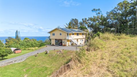 Photo of 35-163 Hokumahoe Rd, Laupahoehoe, HI 96764 (MLS # 727208)