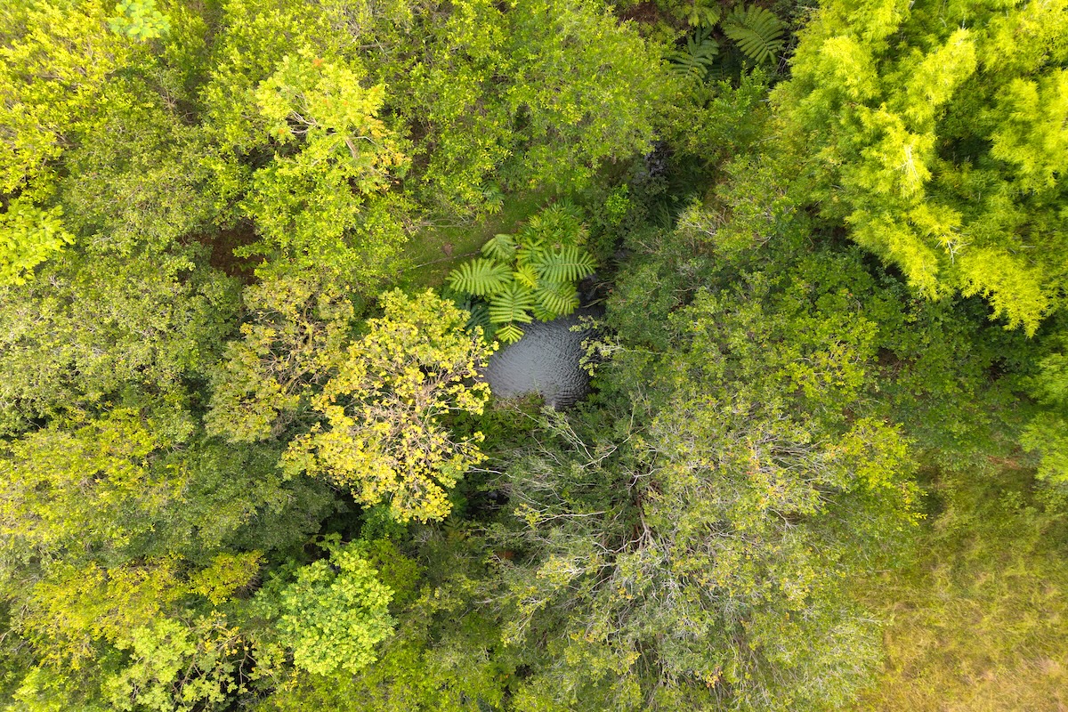 28-668 KAUPAKUEA HOMESTEAD RD