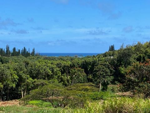 Photo of Kanaele Rd, Kapaa, HI 96746 (MLS # 726770)