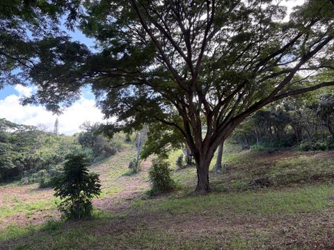 Tiny photo for Kanaele Rd, Kapaa, HI 96746 (MLS # 726770)