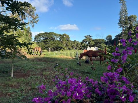 Tiny photo for Kanaele Rd, Kapaa, HI 96746 (MLS # 726770)
