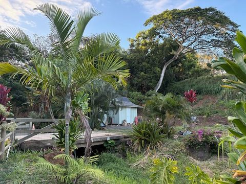 Tiny photo for Kanaele Rd, Kapaa, HI 96746 (MLS # 726770)