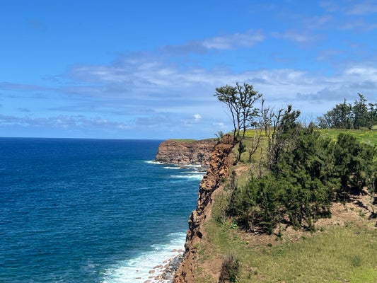 550199 HOEA RD, HAWI, HI 96719 - Image fdb3ca7ac552adad72cb66fdcb09d496/3960617645