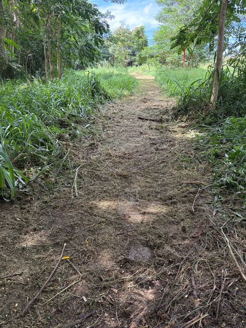 Tiny photo for 4641-F Kuawa Rd, Kilauea, HI 96754 (MLS # 724906)