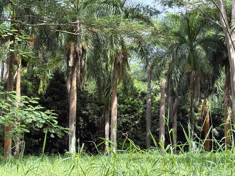 Photo of 4641-F Kuawa Rd, Kilauea, HI 96754 (MLS # 724906)