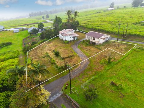 Photo of 44-2906 Kalopa Rd, Honokaa, HI 96727 (MLS # 729383)