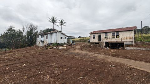 Photo of 44-2906 Kalopa Rd, Honokaa, HI 96727 (MLS # 729383)
