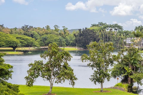 Photo of 101 Hilo Lagoon Centre #510, Hilo, HI 96720 (MLS # 732047)