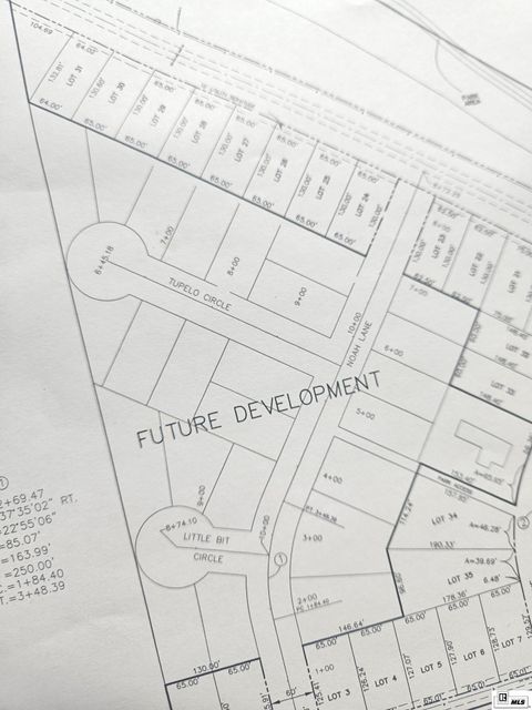 Vacant Land For Sale - Noah Lane<br/> Rayville, LA 71269