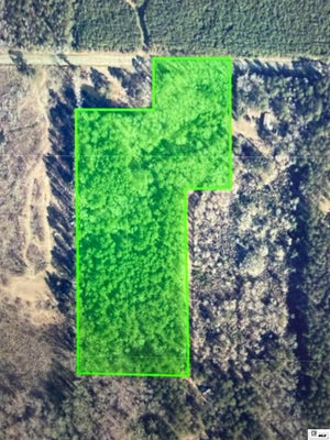 140 ROACH RD, CHOUDRANT, LA 71227 - Image 0bf2efa71ea3f8a5a56502eaa34f4f98/1395459895