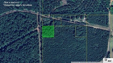 Vacant Land For Sale - 000 Randolph Road<br/> Lillie, LA 71256