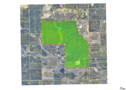 Vacant Land For Sale - 00 Guyton Swamp Road<br/> Calhoun, LA 71225