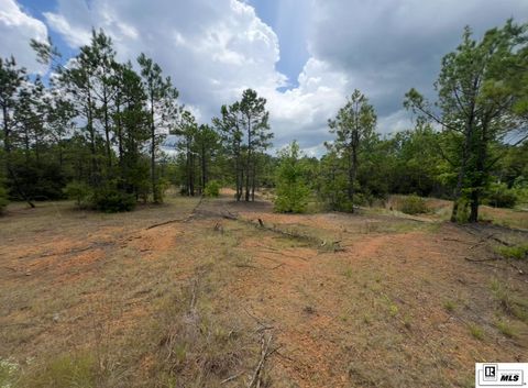 Vacant Land For Sale - 000 Madden Road<br/> Ruston, LA 71270