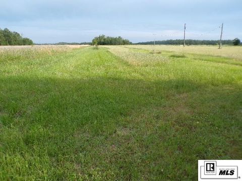 Vacant Land For Sale - 137 Pony Greer Road<br/> Richland County, Rayville, LA 71269
