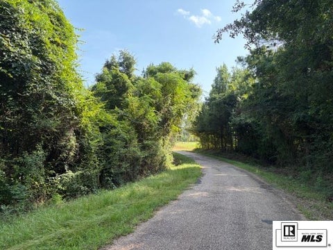 Vacant Land For Sale - 000 Zion Hill Church Road<br/> Farmerville, LA 71294