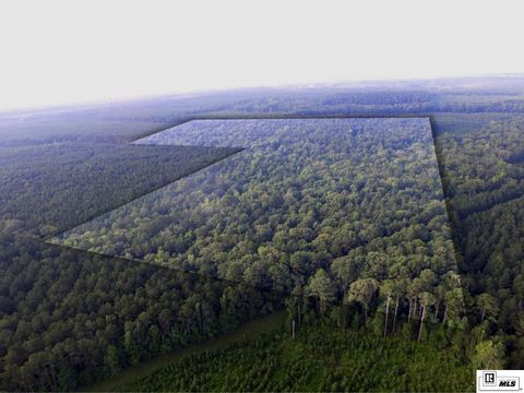 Vacant Land For Sale - 000 State Line Road<br/> Marion, LA 71260