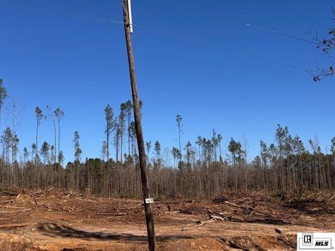 Vacant Land For Sale - Hooterville Road<br/> Caldwell County, Kelly, LA 71441