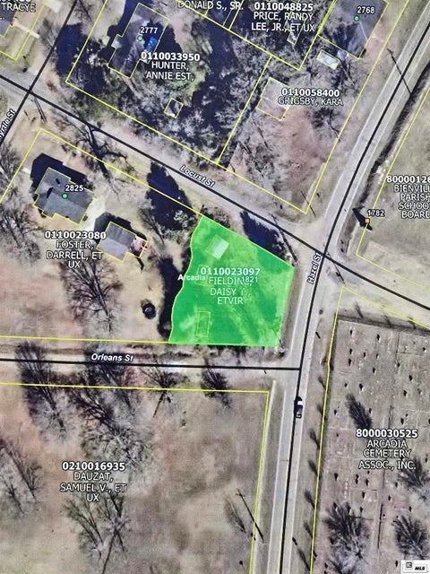 Vacant Land For Sale - 1821 Locust Street<br/> Bienville County, Arcadia, LA 71001