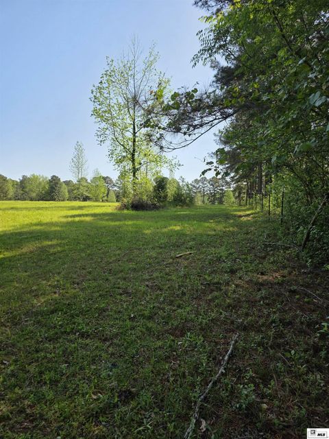 Vacant Land For Sale - 000 Dan Acree Road<br/> Downsville, LA 71234