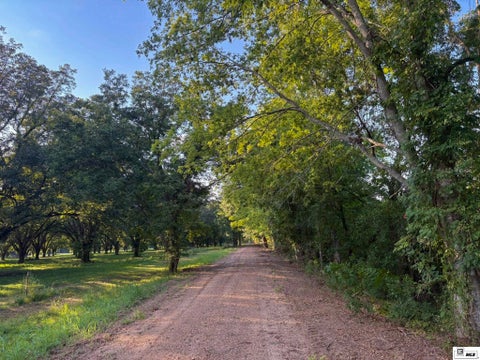 Vacant Land For Sale - 000 Highway 65 S<br/> Madison County, Tallulah, LA 71282