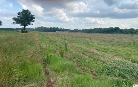 Vacant Land For Sale - Mitchiner Road<br/> Richland County, Rayville, LA 71269
