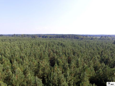 Vacant Land For Sale - Ervin Road<br/> Spearsville, LA 71277