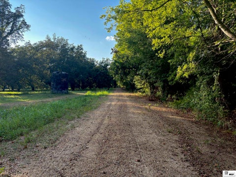 Vacant Land For Sale - 000 Highway 65 S<br/> Madison County, Tallulah, LA 71282