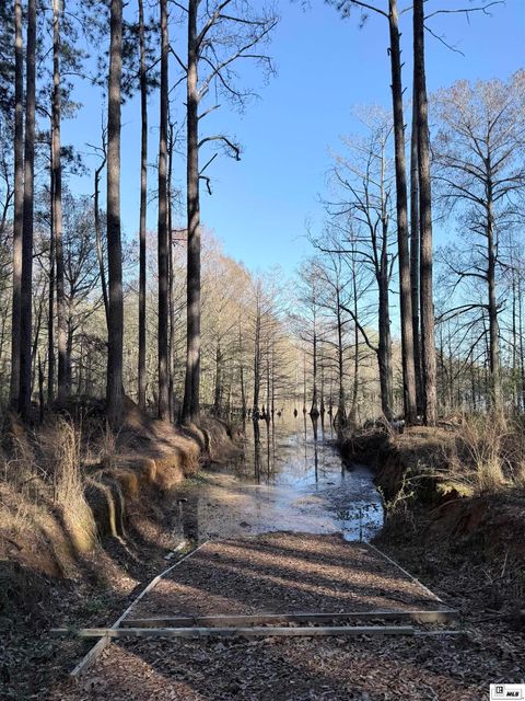 Vacant Land For Sale - 1187 Websters Bluff Road<br/> Union County, Farmerville, LA 71241