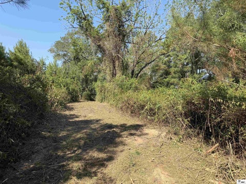 Vacant Land For Sale - 000 Double Bridge Road<br/> Union County, Bernice, LA 71277