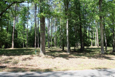 Vacant Land For Sale - 356 Woodsway Circle<br/> Chatham, LA 71226