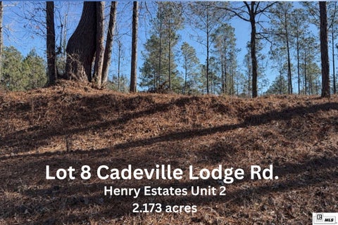 Vacant Land For Sale - 08 Cadeville Lodge Road<br/> West Monroe, LA 71292