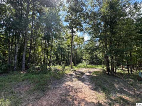 Vacant Land For Sale - Bella Vista Road<br/> Homer, LA 71040