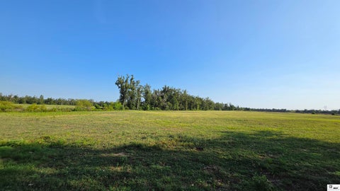 Vacant Land For Sale - Boone Road<br/> Richland County, Delhi, LA 71232