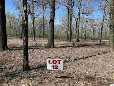 Vacant Land For Sale - 000 School Board Road<br/> Marion, LA 71260