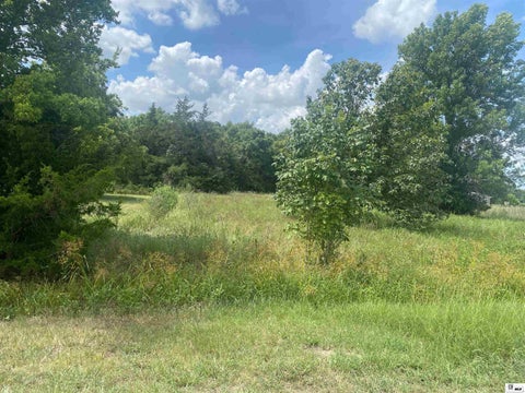 Vacant Land For Sale - 230 Temple Road<br/> Rayville, LA 71269