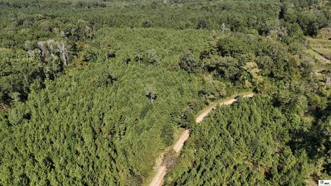 Vacant Land For Sale - 000 Lynn Wheelis Road<br/> Marion, LA 71260