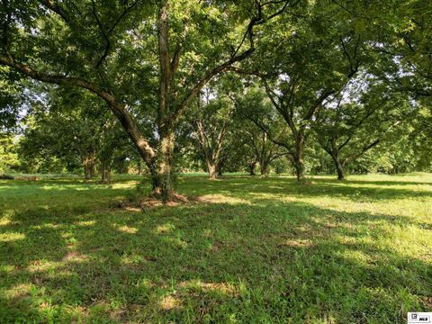 Vacant Land For Sale - 000 Highway 65 S<br/> Madison County, Tallulah, LA 71282