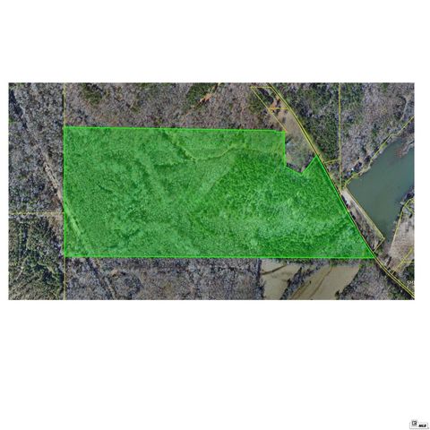 Vacant Land For Sale - Camp Road<br/> Homer, LA 71040