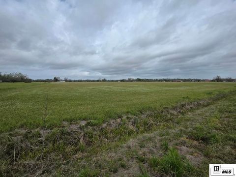 Vacant Land For Sale - Honor Greer Road<br/> Rayville, LA 71269