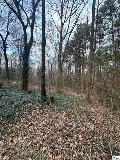 Vacant Land For Sale - 246 Whispering Pines Trail<br/> Webster County, Minden, LA 71055