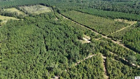 Vacant Land For Sale - 000 Water Tank Road<br/> Union County, Marion, LA 71260