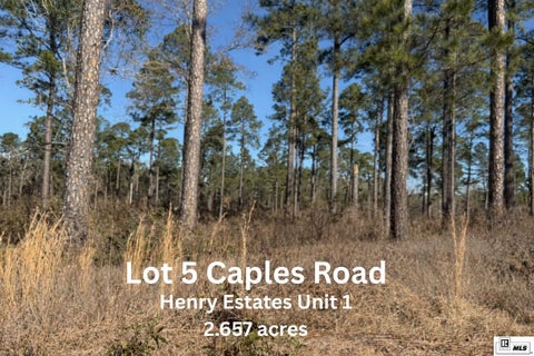 Vacant Land For Sale - 05 Caples Road<br/> West Monroe, LA 71291