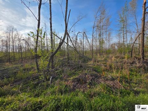 Vacant Land For Sale - Carey Smith Road<br/> Richland County, Mangham, LA 71259