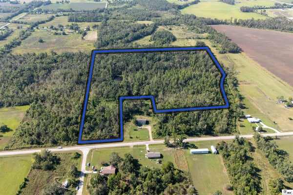 OLLIE MORRIS RD, RAYVILLE, LA 71269 - Image 56d0689f4d77e9acf09e32a33ff2af8c/2465614709