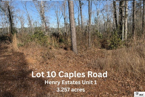 Vacant Land For Sale - 010 Caples Road<br/> West Monroe, LA 71292