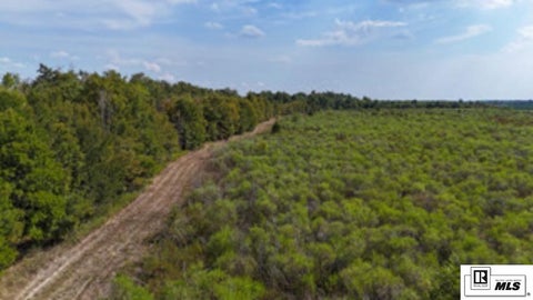 Vacant Land For Sale - 00 Hendrix Road<br/> Rayville, LA 71269
