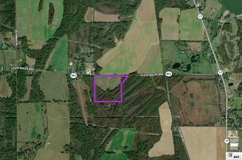 Vacant Land For Sale - 000 Highway 854<br/> Delhi, LA 71232